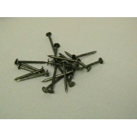 Nails 3/4" Coated 1/4lb