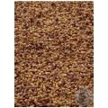 Pollinator Seed Mix 12 lb bag